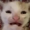 horror