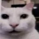 Huh