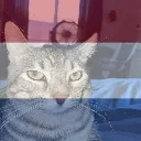 ponder_dutch ponder_dutch