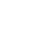 AttackIcon