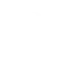 RevealIcon