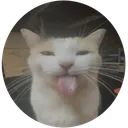 bleh