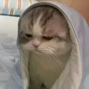 sleepycat