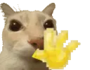hii_cat