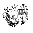 platCRspin