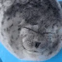 ponsuke