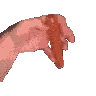 rizz2 rizz2