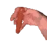 rizz1