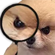 e_detectivepug