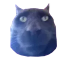 HD