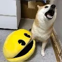 aauuch