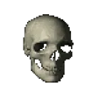 skullspin