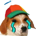 SadDoggoCola