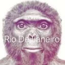 singe singe