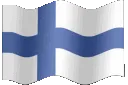 FIN
