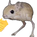 roingus_handshakeR