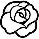 RL_Roses_Blanches