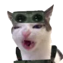 reagentkitty2