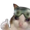 reagentkitty3