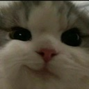 cat_smirk cat_smirk