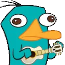 perryguitar