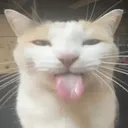 bild_20241103_002304209