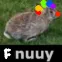 fnuuy fnuuy