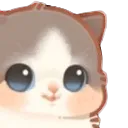 SR7_cathehe