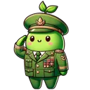 Salutekoko