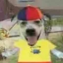 goofydog