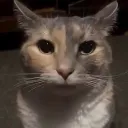 stare2