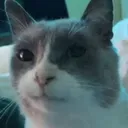 gulpstare