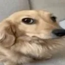 Huh