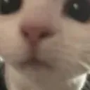 hehe