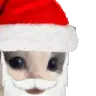 MEOWDY