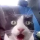 ohwow
