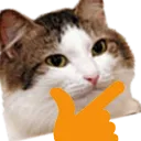 Cathink