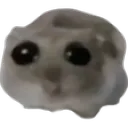 oh