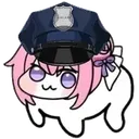doropolice1