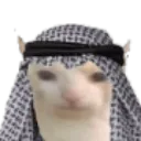 halal_cat