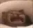 PusseCri