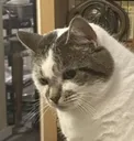 Poppy_What_U_Looking_At