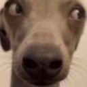 ermwhat Discord emoji
