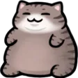 cohhChonk