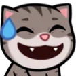 cohhHeh