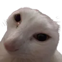 gwuh