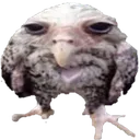 emoji_17