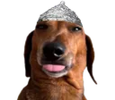 tinfoilherbert tinfoilherbert
