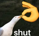 shut