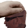 bear_pet Discord emoji